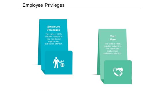 Employee Privileges Ppt PowerPoint Presentation Slides Styles Cpb