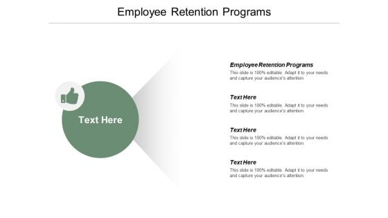 Employee Retention Programs Ppt PowerPoint Presentation Visual Aids Gallery Cpb