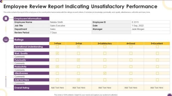 Employee Review Report Indicating Unsatisfactory Performance Themes PDF