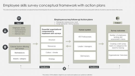 Employee Skills Survey Conceptual Framework With Action Plans Rules PDF