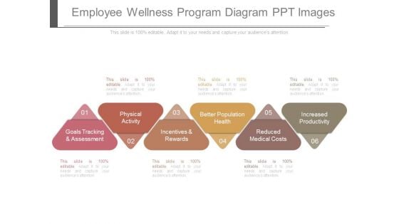 Employee Wellness Program Diagram Ppt Images