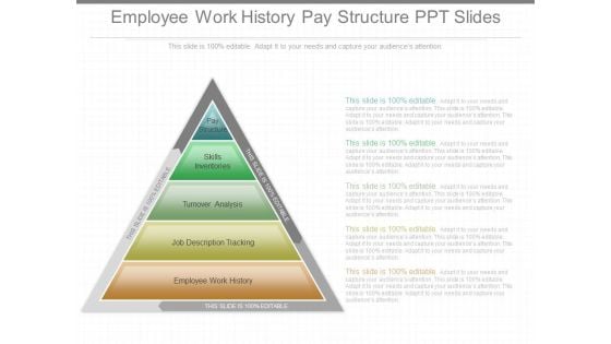 Employee Work History Pay Structure Ppt Slides