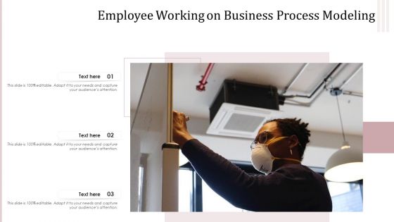 Employee Working On Business Process Modeling Ppt PowerPoint Presentation Icon Show PDF