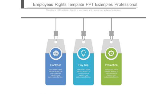 Employees Rights Template Ppt Examples Professional