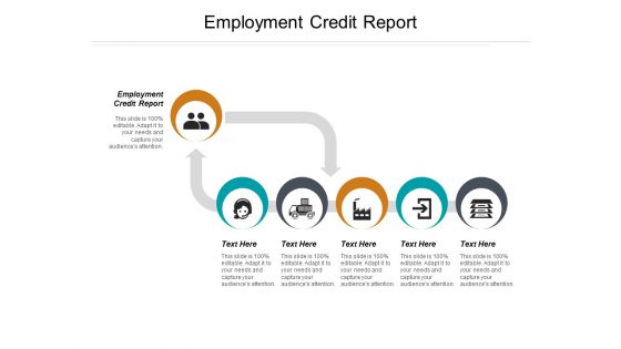 Employment Credit Report Ppt PowerPoint Presentation Inspiration Example Introduction