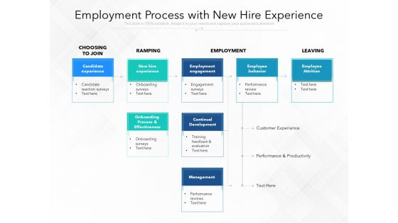 Employment Process With New Hire Experience Ppt PowerPoint Presentation Gallery File Formats PDF