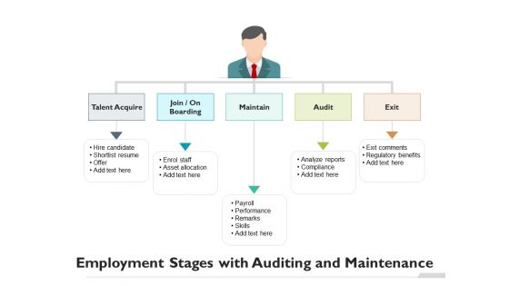 Employment Stages With Auditing And Maintenance Ppt PowerPoint Presentation File Templates PDF