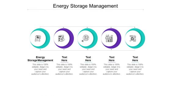 Energy Storage Management Ppt PowerPoint Presentation Show Portfolio Cpb