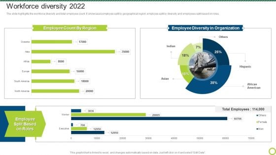 Engineering Solutions Company Detail Workforce Diversity 2022 Clipart PDF