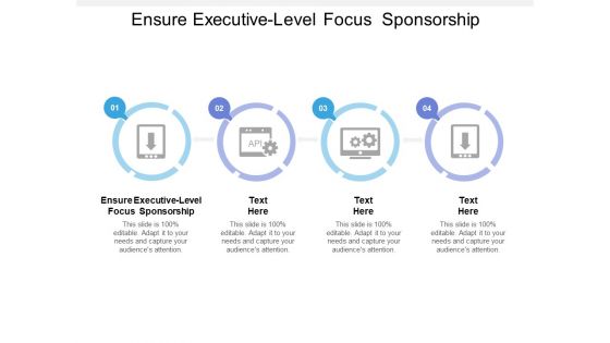 Ensure Executive Level Focus Sponsorship Ppt PowerPoint Presentation Pictures Vector Cpb