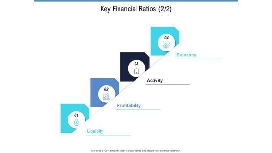 Enterprise Analysis Key Financial Ratios Ppt Portfolio Professional PDF