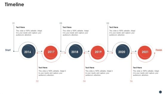 Enterprise Application Software Company Timeline Professional PDF