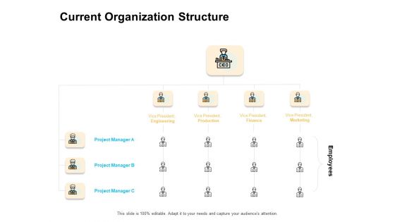 Enterprise Capability Management Current Organization Structure Ppt File Template PDF