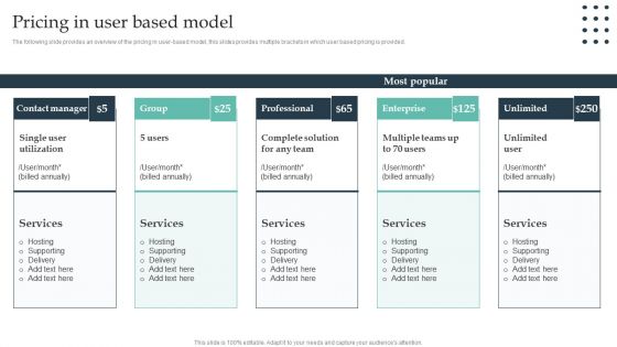 Enterprise Consumer Technology Management Pricing In User Based Model Elements PDF