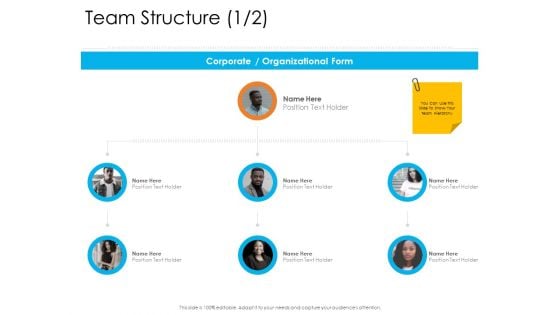 Enterprise Governance Team Structure Holder Icons PDF