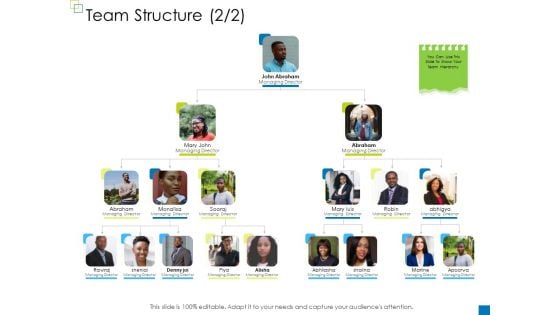 Enterprise Management Team Structure Ideas PDF