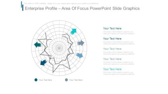 Enterprise Profile Area Of Focus Powerpoint Slide Graphics