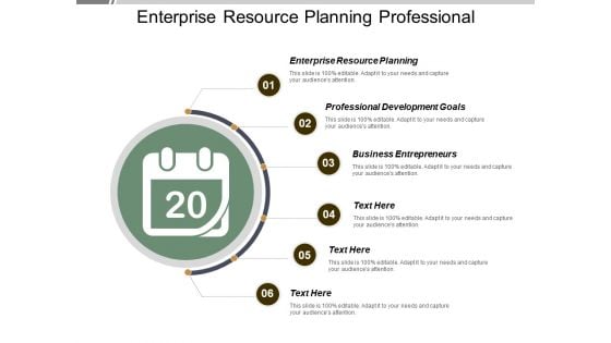 Enterprise Resource Planning Professional Development Goals Business Entrepreneurs Ppt PowerPoint Presentation Inspiration Styles