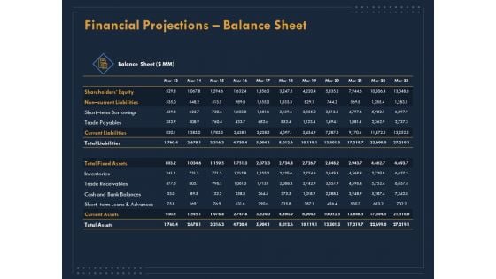 Enterprise Review Financial Projections Balance Sheet Ppt File Infographics PDF