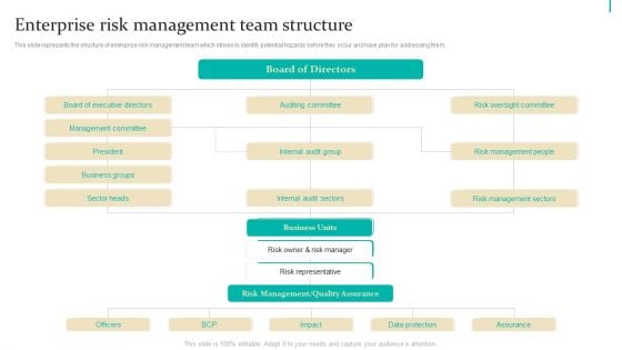 Enterprise Risk Management Enterprise Risk Management Team Structure Background PDF