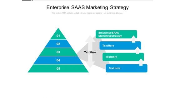 Enterprise SAAS Marketing Strategy Ppt PowerPoint Presentation File Professional Cpb