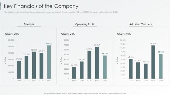 Enterprise Sustainability Performance Metrics Key Financials Of The Company Rules PDF