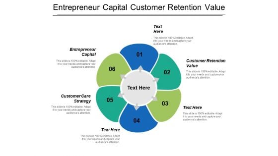 Entrepreneur Capital Customer Retention Value Customer Care Strategy Ppt PowerPoint Presentation Pictures Example Introduction