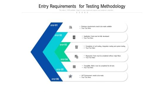 Entry Requirements For Testing Methodology Ppt PowerPoint Presentation Gallery Maker PDF