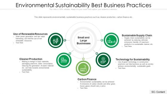 Environmental Sustainability Best Business Practices Ppt PowerPoint Presentation File Graphic Tips PDF