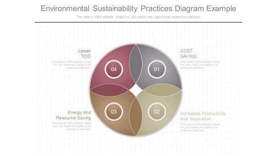 Environmental Sustainability Practices Diagram Example