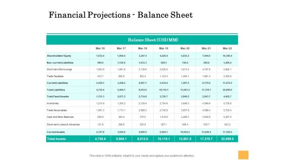 Equity Capital Funding Financial Projections Balance Sheet Ppt Show Graphics Design PDF