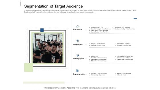 Equity Crowdfunding Pitch Deck Segmentation Of Target Audience Ppt Professional Smartart PDF