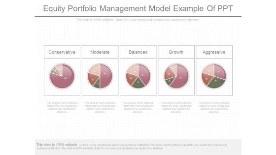 Equity Portfolio Management Model Example Of Ppt