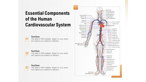 Essential Components Of The Human Cardiovascular System Ppt PowerPoint Presentation Diagram Templates PDF