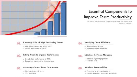 Essential Components To Improve Team Productivity Ppt Infographics Graphics Example PDF