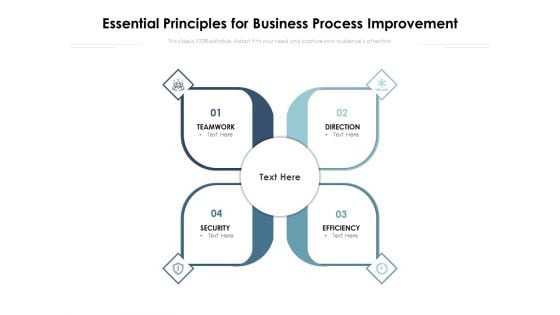 Essential Principles For Business Process Improvement Ppt PowerPoint Presentation Outline Format Ideas PDF