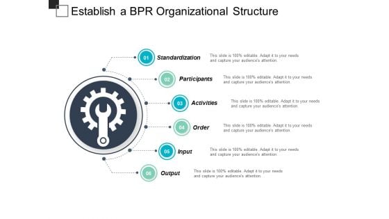 Establish A Bpr Organizational Structure Ppt Powerpoint Presentation Ideas Shapes