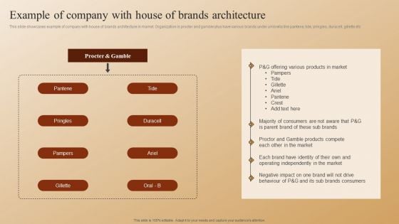 Establishing A Brand Identity For Organizations With Several Brands Example Of Company With House Of Brands Architecture Slides PDF