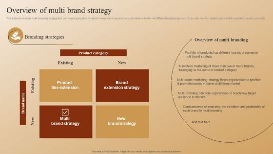 Establishing A Brand Identity For Organizations With Several Brands Overview Of Multi Brand Strategy Elements PDF