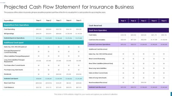 Establishing Insurance Company Projected Cash Flow Statement For Insurance Business Diagrams PDF