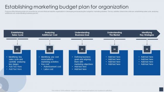 Establishing Marketing Budget Plan For Organization Guidelines PDF