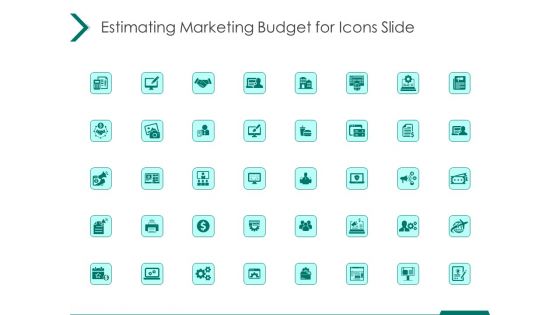 Estimating Marketing Budget Estimating Marketing Budget For Icons Slide Ppt Professional Format PDF