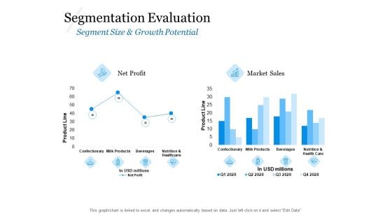 Evaluating Target Market Segments Segmentation Evaluation Ppt Professional Template PDF