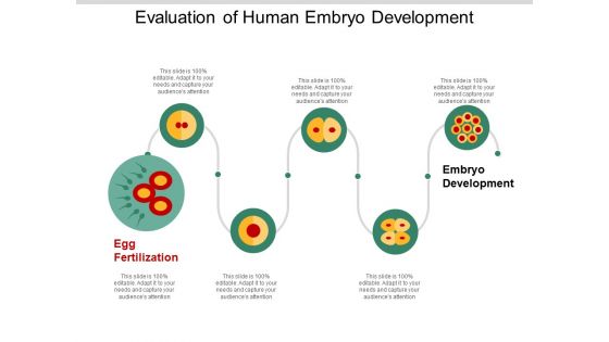 Evaluation Of Human Embryo Development Ppt Powerpoint Presentation Visual Aids Files