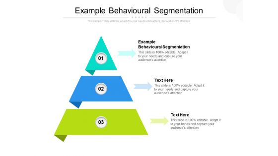 Example Behavioural Segmentation Ppt PowerPoint Presentation Model Professional Cpb