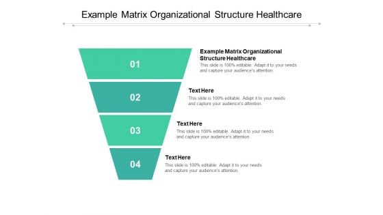 Example Matrix Organizational Structure Healthcare Ppt PowerPoint Presentation Pictures Designs Download Cpb Pdf