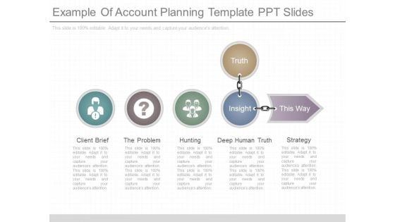 Example Of Account Planning Template Ppt Slides