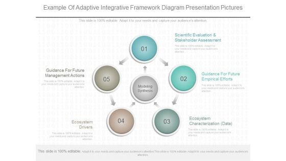 Example Of Adaptive Integrative Framework Diagram Presentation Pictures