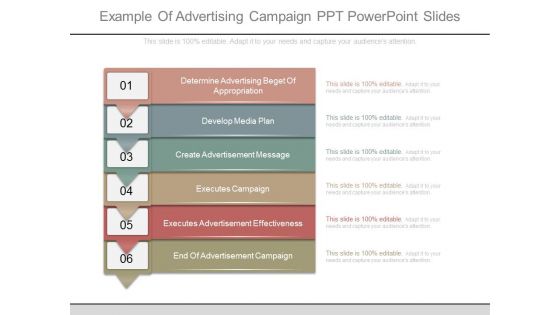 Example Of Advertising Campaign Ppt Powerpoint Slides