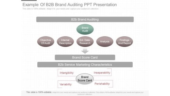 Example Of B2b Brand Auditing Ppt Presentation